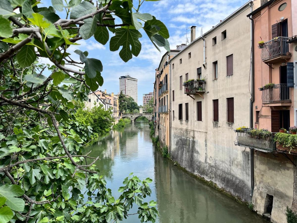 Appartamento Ai Portici Di Via Savonarola Padova Exterior photo